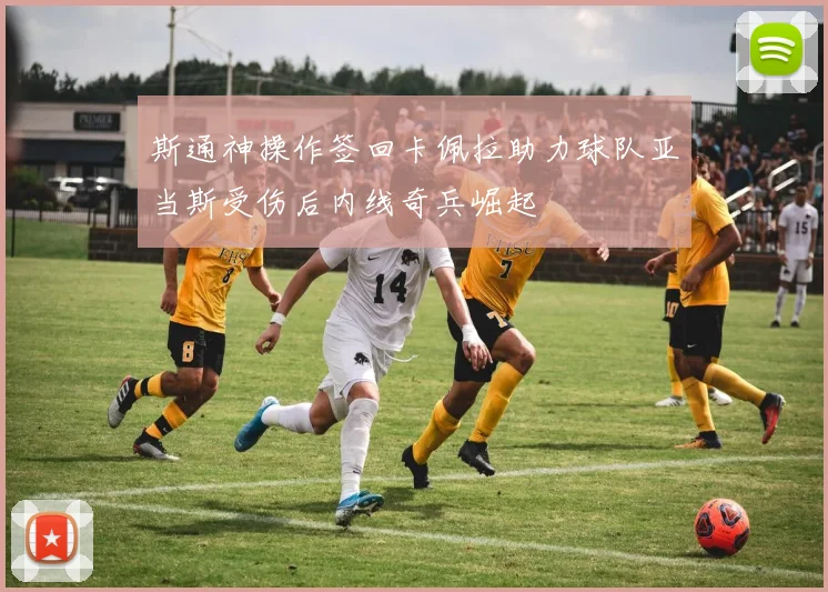 斯通神操作签回卡佩拉助力球队亚当斯受伤后内线奇兵崛起